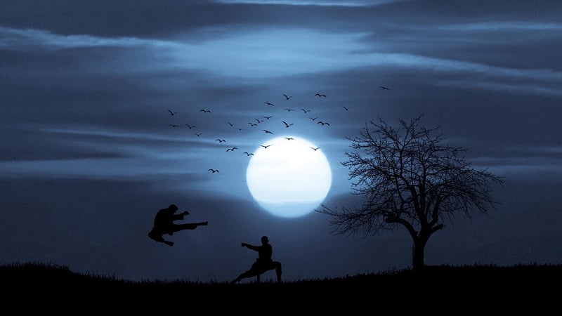 Kung Fu Fighter